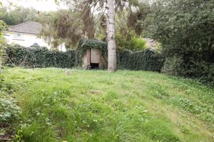 Garden- click for photo gallery